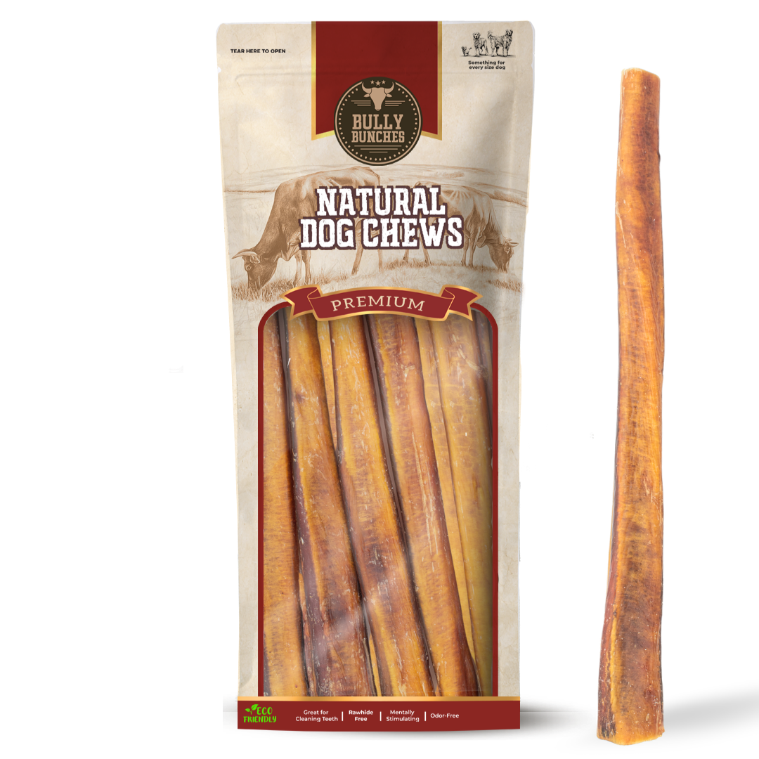Bâton à mâcher jumbo de 12 po composé à 100 % de bœuf