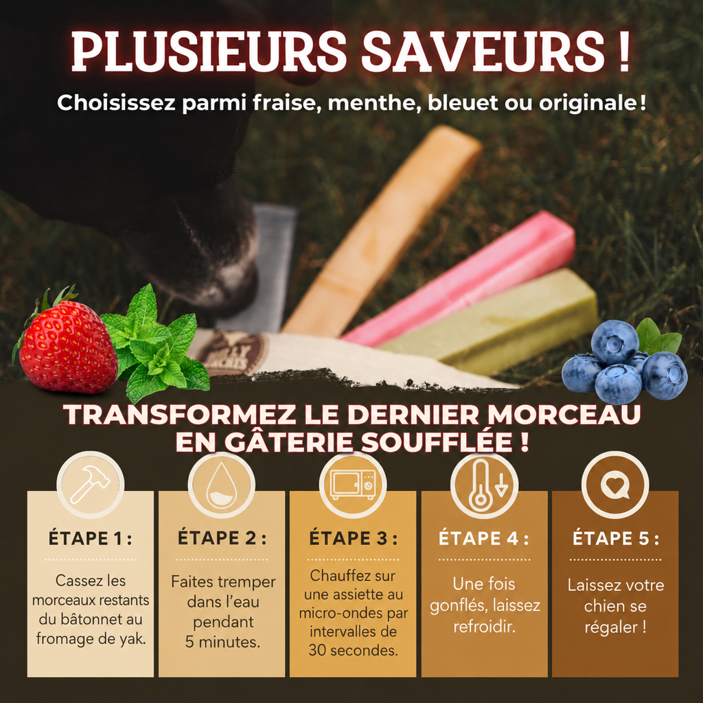 Gâterie fromage de yak à saveur de menthe pour chien