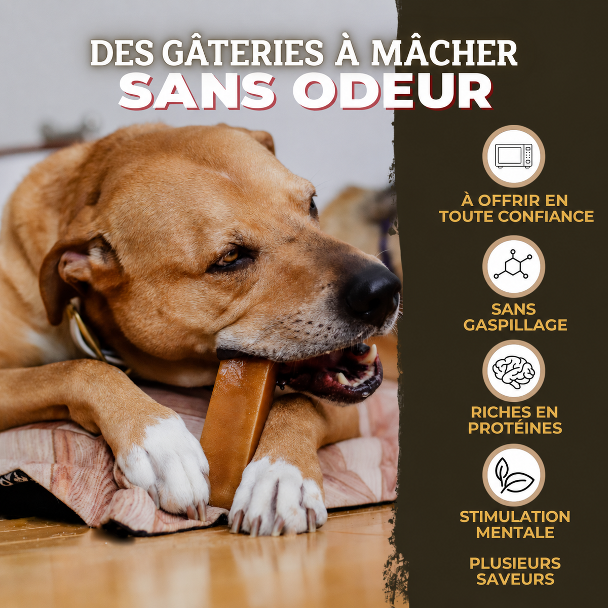 Gâterie fromage de yak à saveur de menthe pour chien