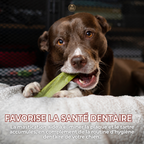 Gâterie fromage de yak à saveur de menthe pour chien