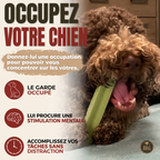Gâterie fromage de yak à saveur de menthe pour chien