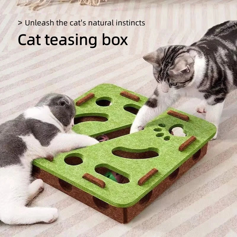 Boîte à creuser pour chat