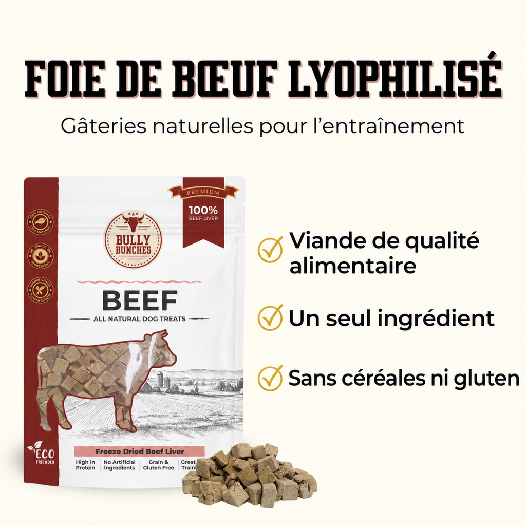 Sachet de gâteries lyophilisées au foie de bœuf pour chien Bully Bunches avec bouchées