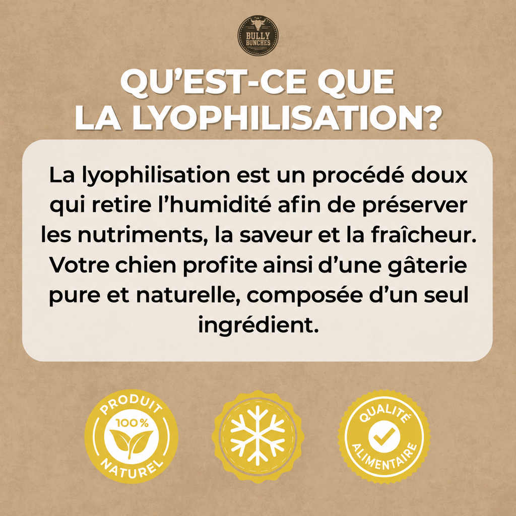 Explications gâteries lyophilisées au foie de bœuf pour chien Bully Bunches avec bouchées