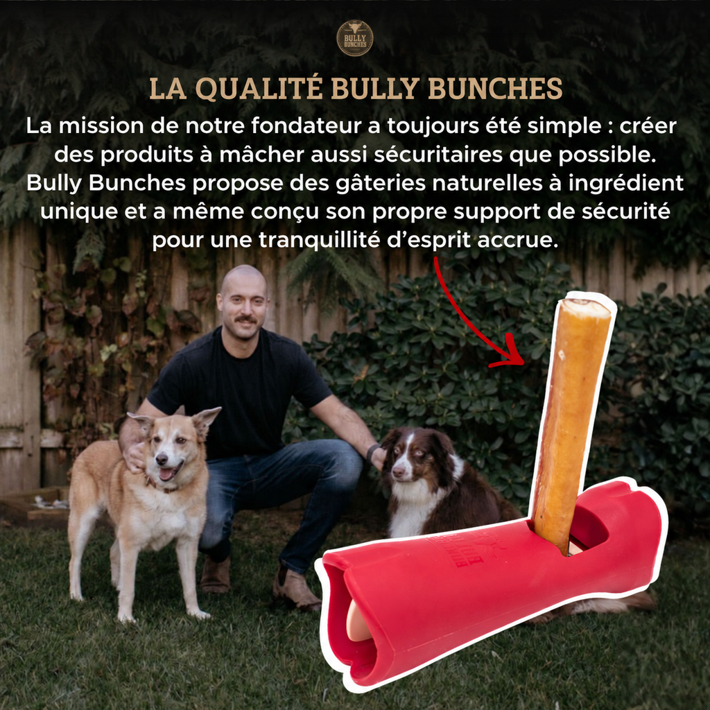 Fondateur de Bully Bunches avec deux chiens et support rouge pour bâton à mâcher