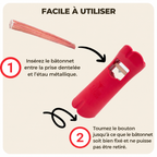 Instructions pour fixer un bâton à mâcher dans le support de sécurité pour chien