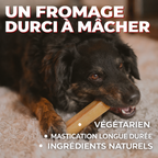 Labrador noir mâchant un fromage de yak trié selon son poids