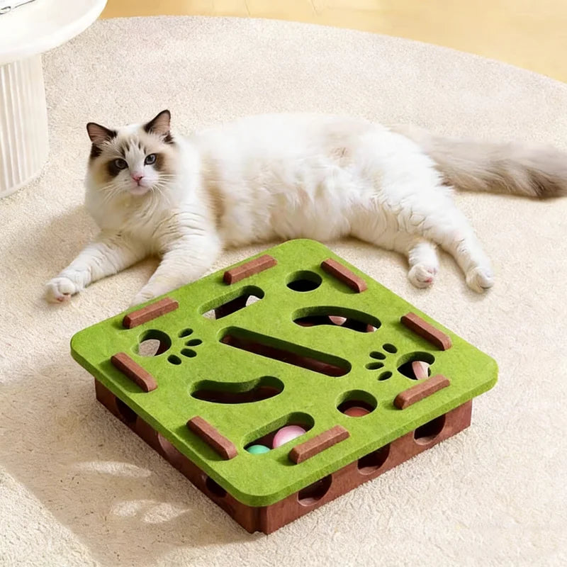 Jouet de stimulation pour chat