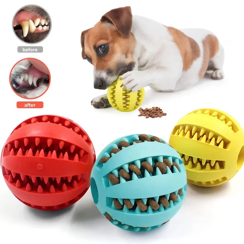 Balle interactive pour chien - Soin dentaire et friandises