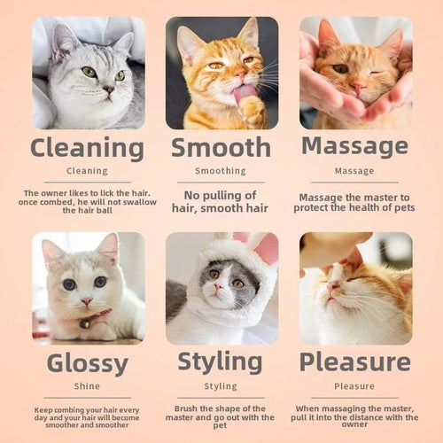Brosse de toilettage pour chat et petit chien – Démêlage et élimination des poils morts
