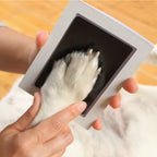 Tampon encreur sans contact pour empreinte de patte de chien