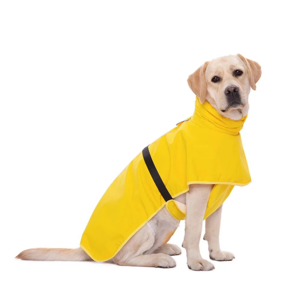 Chien portant un manteau de pluie jaune avec col protecteur
