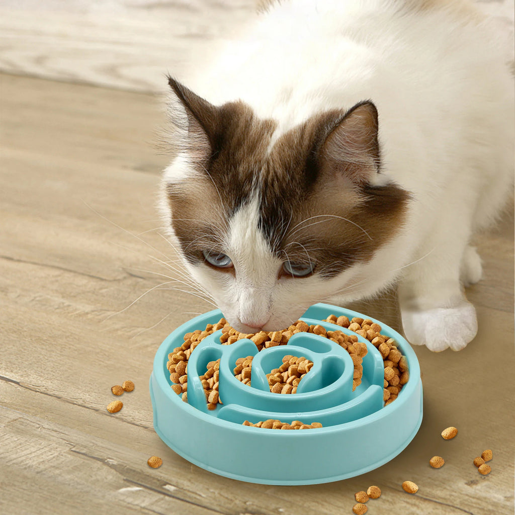 Bol anti-glouton pour chien et chat, design labyrinthe / Slow feeder bowl for dogs and cats, maze design