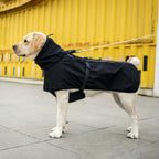 Chien portant un imperméable réfléchissant noir ajustable