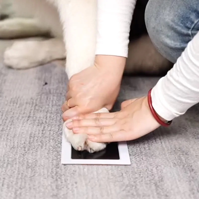 Application du tampon empreinte sur patte de chien