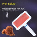 Brosse démêlante pour chat et petit chien avec nettoyage en un clic.