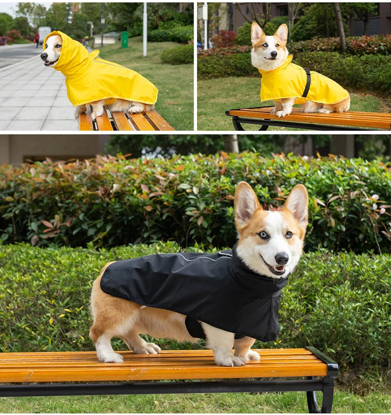 Chiens portant un manteau de pluie jaune et noir avec col protecteur
