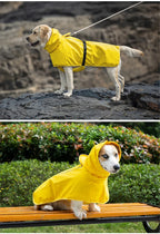 Chien portant un manteau de pluie jaune avec col protecteur