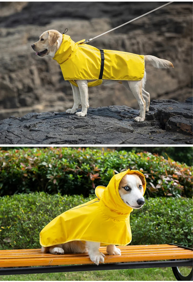 Chien portant un manteau de pluie jaune avec col protecteur