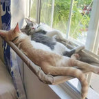 Lit suspendu pour deux chats fixé à la fenêtre