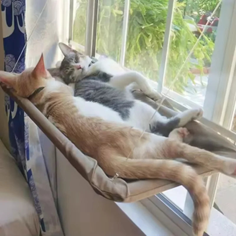 Lit suspendu pour deux chats fixé à la fenêtre