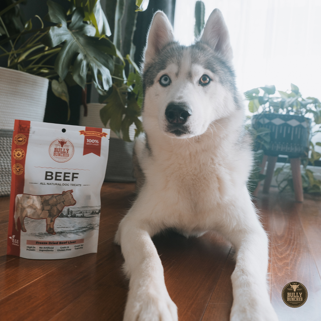 Sachet de gâteries lyophilisées au foie de bœuf pour chien Bully Bunches avec bouchées
