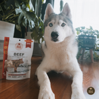 Sachet de gâteries lyophilisées au foie de bœuf pour chien Bully Bunches avec bouchées