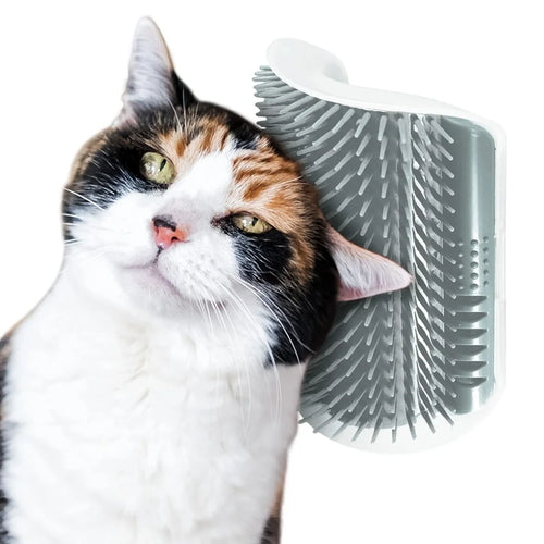 cat wall grooming brush