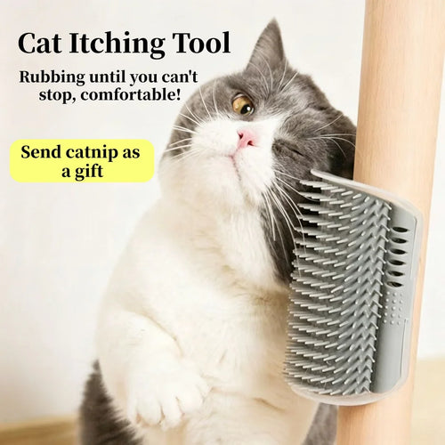 Brosse de toilettage pour chat en libre-service2