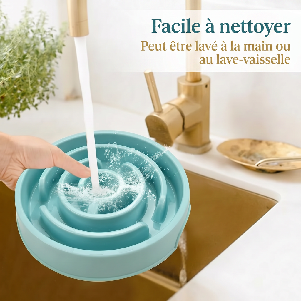 Bol anti-glouton pour chien et chat, design labyrinthe / Slow feeder bowl for dogs and cats, maze design