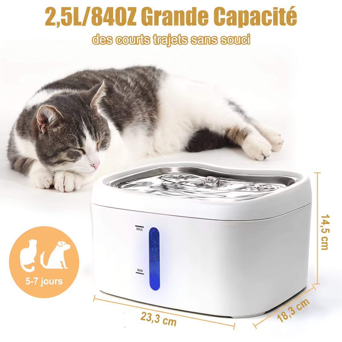 Fontaine à eau ultra-silencieuse pour chat/Ultra-quiet water fountain for cats