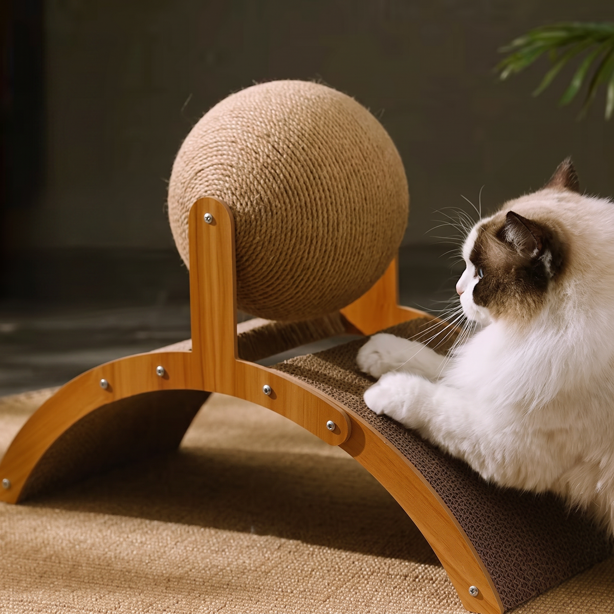 Griffoir boule en sisal naturel pour chat sur support en bois