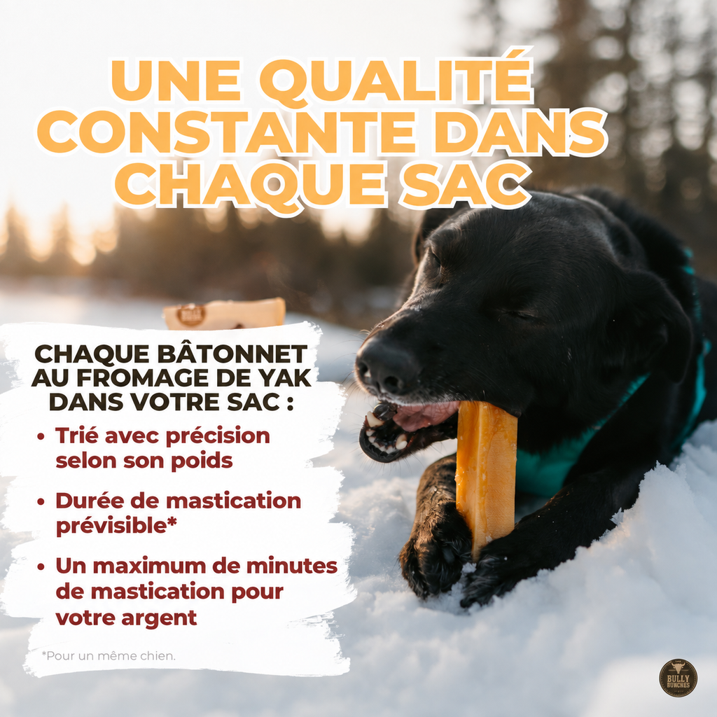 Gâterie fromage de yak à saveur de menthe pour chien