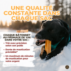 Gâterie fromage de yak à saveur de menthe pour chien
