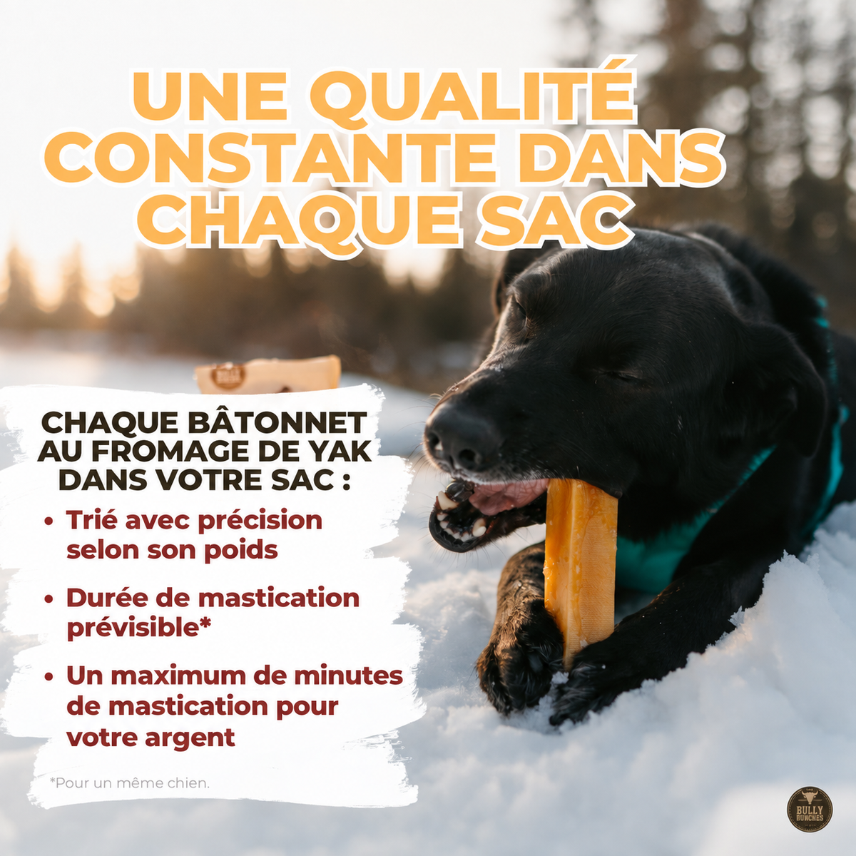 Gâterie fromage de yak à saveur de menthe pour chien