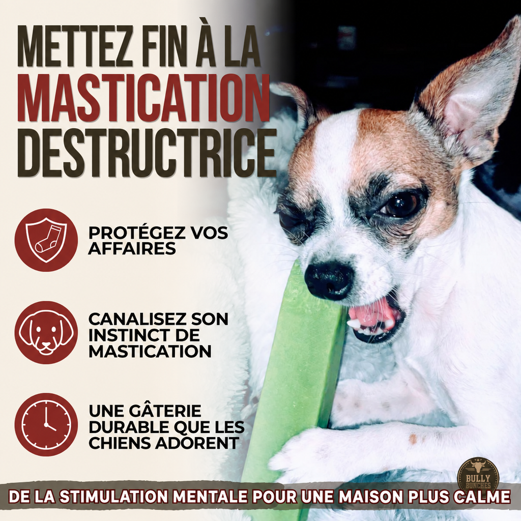 Gâterie fromage de yak à saveur de menthe pour chien