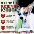 Gâterie fromage de yak à saveur de menthe pour chien