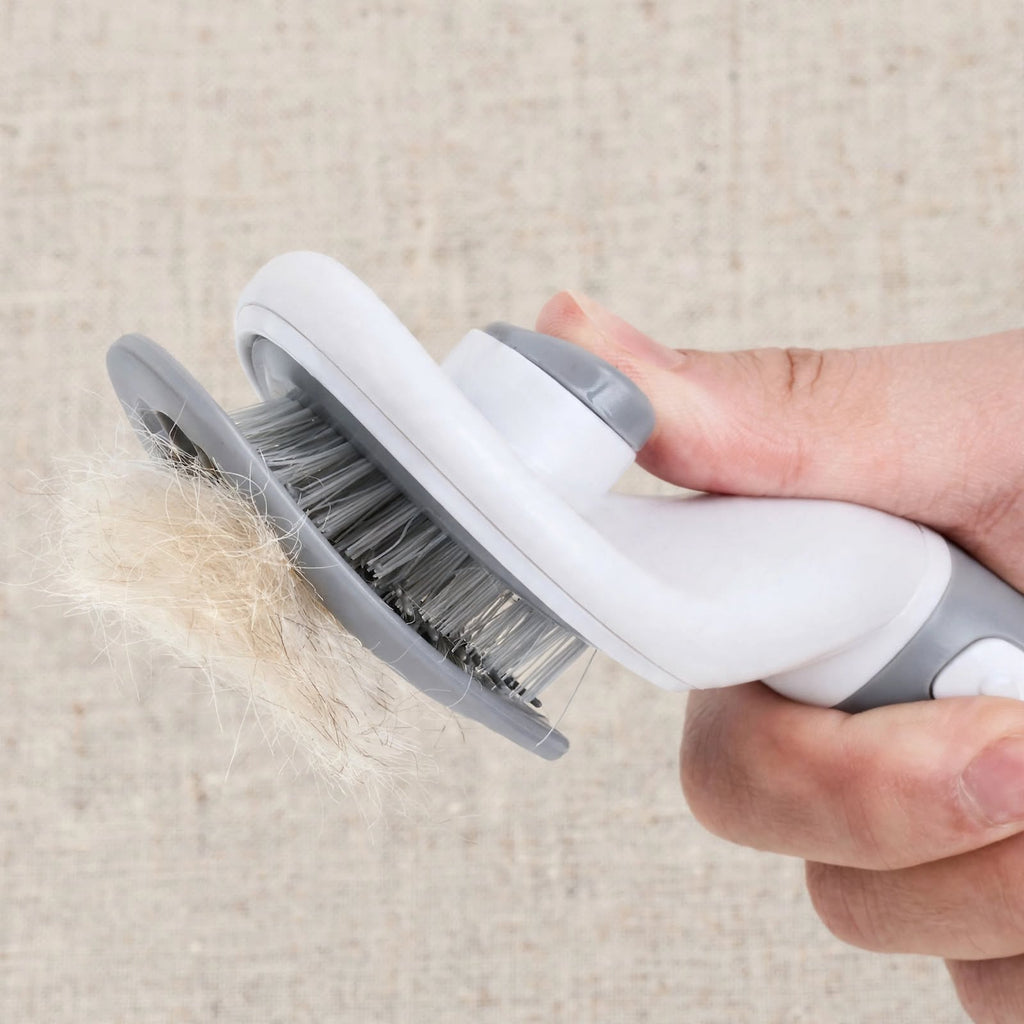 Brosse autonettoyante pour chats et chiens — retrait des poils en un clic