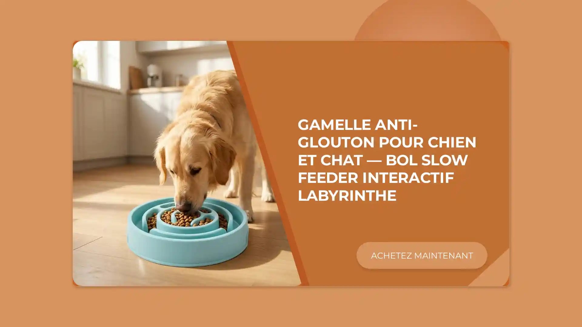 Gamelle Anti-Glouton pour Chien et Chat &mdash; Bol Slow Feeder Interactif Labyrinthe by@Outfy